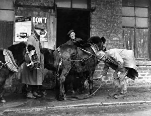 The ponies are washed down before being taken to their stables for a feed at Knowetop The ponies are washed down before being taken to their stables for a feed at Knowetop