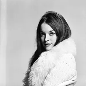 Pop Singer Diane Solomons. February 1975 75-00676 Pop Singer Diane Solomons. February 1975 75-00676