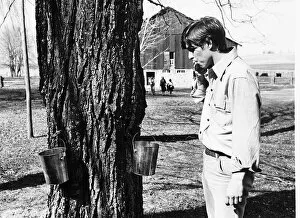 Prince Andrew samples the syrup from a maple Tree March 1977