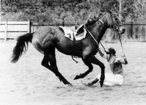 March Gallery: 13 Mar 1981 Collection