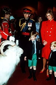 Images Dated 29th July 1988: Prince Charles, Princess Diana and Prince William and Prince Harry at the royal