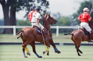 Images Dated 16th July 1991: Prince Charles (Red shirt wearing number 3) was locked in a fierce battle with Princess