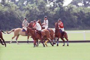 Images Dated 16th July 1991: Prince Charles (Red shirt wearing number 3) was locked in a fierce battle with Princess