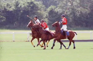 Images Dated 16th July 1991: Prince Charles (Red shirt wearing number 3) was locked in a fierce battle with Princess