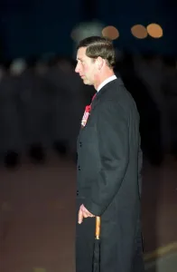 PRINCE CHARLES AT REMEMBRANCE SUNDAY CEREMONY IN WHITEHALL - 1991/10353 PRINCE CHARLES AT REMEMBRANCE SUNDAY CEREMONY IN WHITEHALL - 1991/10353