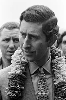 November Gallery: 28 Nov 1980 Collection