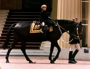 Prince Harry astride a horse being lead by a groom Prince Harry astride a horse being lead by a groom