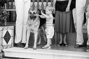 Images Dated 9th August 1986: Prince Harry befriends the family dog. Rest of this picture set