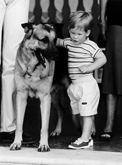 Prince Harry befriends the family dog Arkie. Rest of this picture set