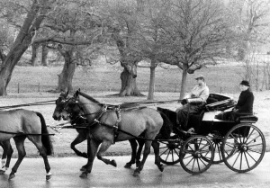 Prince Philip driving a horse and carriage through the parks at Windsor Prince Philip driving a horse and carriage through the parks at Windsor