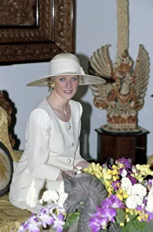 Images Dated 3rd November 1989: Prince and Princess of Wales Official Visit to Indonesia 1989