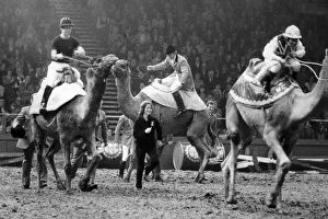 THE PRINCE OF WALES RACES CAMELS WITH WILLIE CARSON (R) AND CAPTAIN MARK PHILIPS THE PRINCE OF WALES RACES CAMELS WITH WILLIE CARSON (R) AND CAPTAIN MARK PHILIPS