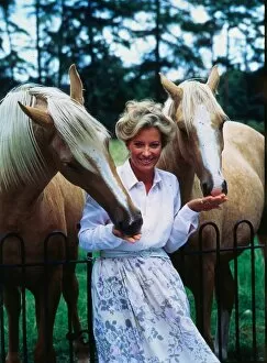 Images Dated 1st October 1986: Princess Michael of Kent October 1986 leaning on railings feeding horses
