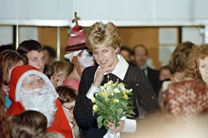 Images Dated 14th December 1992: The Princess of Wales, Princess Diana, in her capacity as Patron