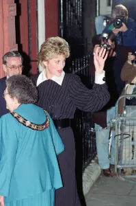 Images Dated 14th December 1992: The Princess of Wales, Princess Diana, in her capacity as Patron