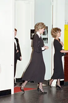 Images Dated 14th December 1992: The Princess of Wales, Princess Diana, in her capacity as Patron