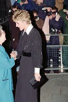 Images Dated 14th December 1992: The Princess of Wales, Princess Diana, in her capacity as Patron