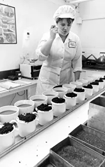 Quality controller Sally Nicholas checks the tea for taste at the Tetley Tea factory Quality controller Sally Nicholas checks the tea for taste at the Tetley Tea factory