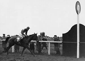 Aintree Gallery: Quare Times seen here winning the 1955 Grand National 28th March 1955