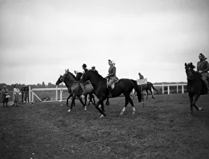 Queen Elizabeth II riding a horse at Ascot racecourse. She was racing against other Queen Elizabeth II riding a horse at Ascot racecourse. She was racing against other
