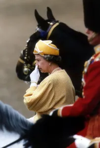 Queen Elizabeth at the Trooping of the Colour June 1991 Queen Elizabeth at the Trooping of the Colour June 1991
