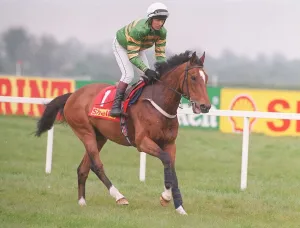 Racehorse Istabraq and jockey Charlie Swan at Punchestown Racehorse Istabraq and jockey Charlie Swan at Punchestown