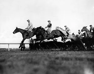 00071 Gallery: Racing at Haydock Park. January 1948