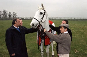 Images Dated 9th April 1990: Racing legend Desert Orchid visits inmates at Ashwell Prison, Leicestershire