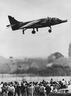 Images Dated 22nd August 1981: RAF Hawker Siddeley Harrier GR3 'Harrier Jump Jet'
