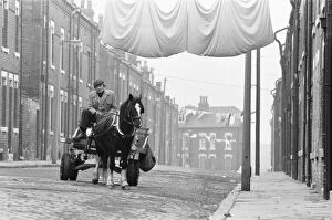 Images Dated 1st February 1982: A rag and bone man at the reins of his horse and cart seen here travelling the streets of