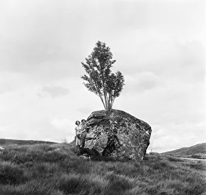 The Rannoch Rowan, a rowan tree growing out of a giant boulder on the desolate wilderness The Rannoch Rowan, a rowan tree growing out of a giant boulder on the desolate wilderness
