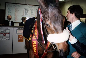 Red Rum with his lad at Surrey Racing in Woking Surrey Red Rum with his lad at Surrey Racing in Woking Surrey