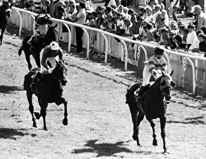Redcar Racecourse is a thoroughbred horse racing venue located in Redcar, North Yorkshire Redcar Racecourse is a thoroughbred horse racing venue located in Redcar, North Yorkshire