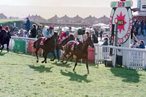Images Dated 14th October 1993: Redcar Races, The Tote Two Year Old Trophy at Redcar, North Yorkshire