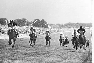 Images Dated 3rd June 1971: Mill Reef extreme left seen here thundering up the hill to ein the 1971 Derby