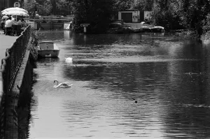 The River Kennet, Reading, Berkshire. 12th June 1992 The River Kennet, Reading, Berkshire. 12th June 1992