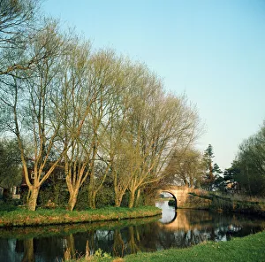 The River Thames at Radcot, Berkshire. 1973 The River Thames at Radcot, Berkshire. 1973