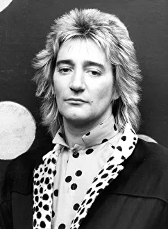Before Rod Stewart married leggy Texan model Alana Hamilton Before Rod Stewart married leggy Texan model Alana Hamilton