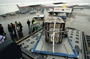 Roque the Tiger arrives in the UK on his way to the Born Free Sanctuary in Headcorn Kent Roque the Tiger arrives in the UK on his way to the Born Free Sanctuary in Headcorn Kent