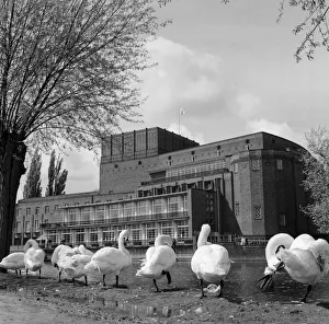 Royal Shakespeare Theatre, Stratford-upon-Avon, Warwickshire. 27th April 1961 Royal Shakespeare Theatre, Stratford-upon-Avon, Warwickshire. 27th April 1961