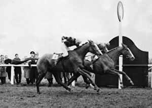 Aintree Gallery: Royal Tan wins by a neck the 1954 Grand National from Tudor Line 10 April 1954