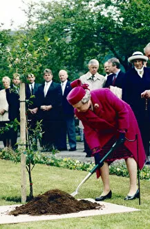 Images Dated 9th May 1997: Royal visit, Queen Elizabeth II visiting Wales. Pictured planting a tree a in the village