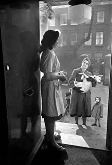 RSPCA Hospital. A woman and child carry their sick dog to the vets RSPCA Hospital. A woman and child carry their sick dog to the vets
