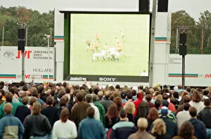 Images Dated 2nd November 1991: Rugby Fans watching the 1991 Rugby World Cup Final between Australia & England on an