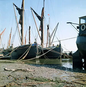 Images Dated 1st September 1973: Sailing Barges on the River Thames Ships shipping Barge Boats moored