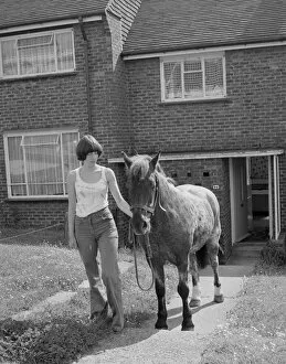 Images Dated 29th May 1977: Sam the pet pony walking through his owners house to get through to his luxury stable at