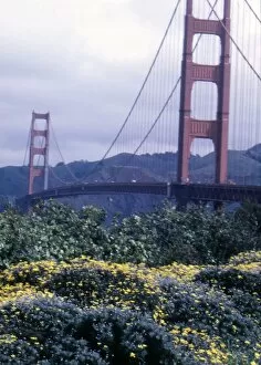 Images Dated 1st July 1990: San Francisco Golden Gate Bridge