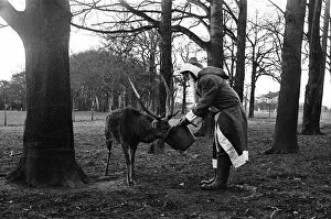 Images Dated 1st December 1974: Santa Claus and 'reindeer'. 1974