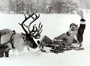 Images Dated 1st December 1981: Santa Claus on his sleigh in the snow - December 1981 with his Reindeer looking