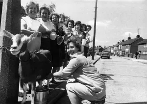 Images Dated 8th June 1971: They say this goats milk helps your sex life... no kidding